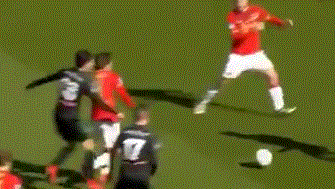 不仅展示了 不仅展示了