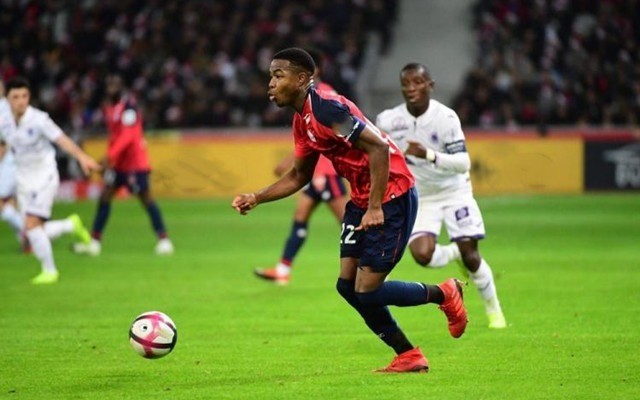 利不仅展现 利不仅展现